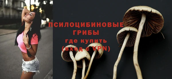 мет Бугульма