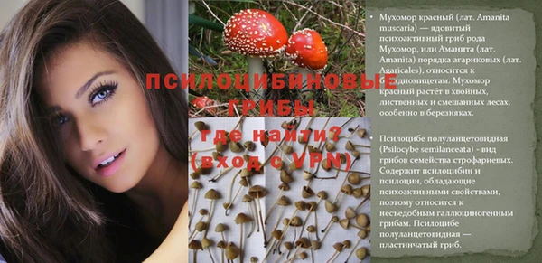 прущий лед Ветлуга