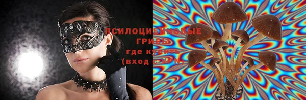 экстази Бородино